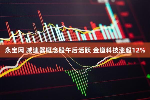 永宝网 减速器概念股午后活跃 金道科技涨超12%