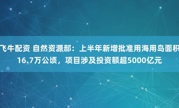 飞牛配资 自然资源部：上半年新增批准用海用岛面积16.7万公顷，项目涉及投资额超5000亿元